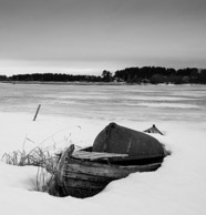 Michele Usher:   Frozen ashore